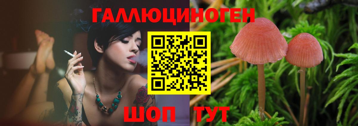 Псилоцибиновые грибы GOLDEN TEACHER Дюртюли